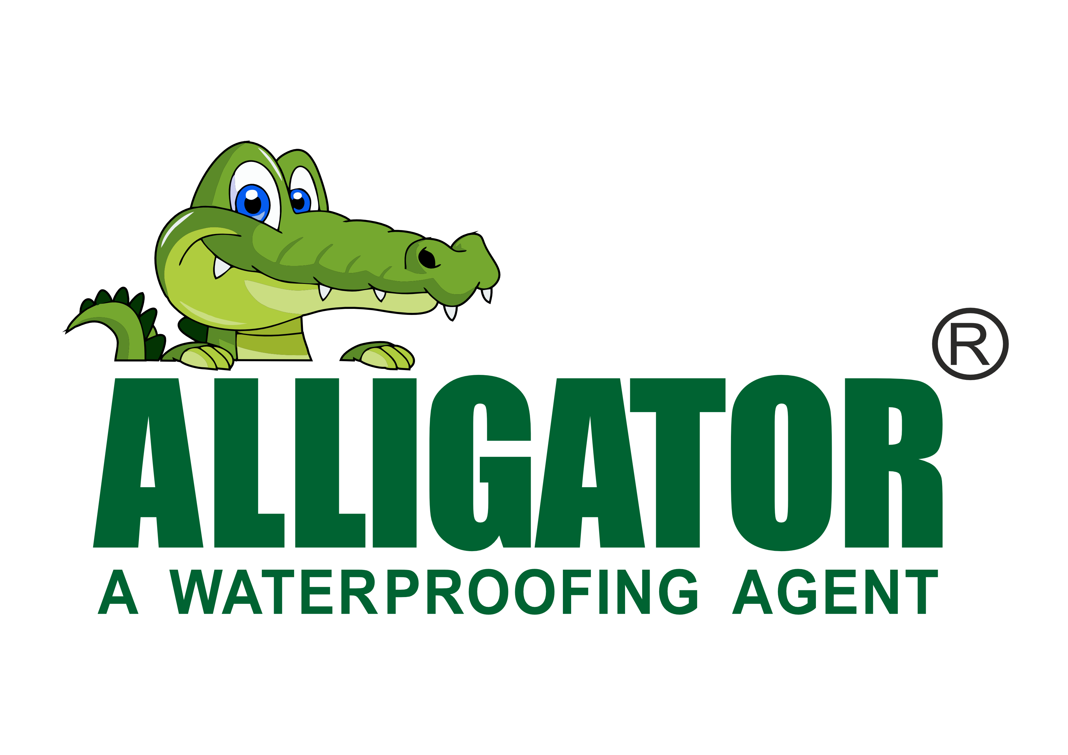 Alligator